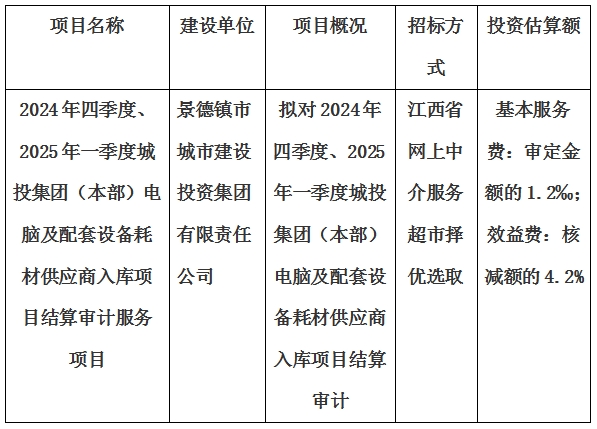 2024年四季度、2025年一季度城投集團（本部）電腦及配套設(shè)備耗材供應(yīng)商入庫項目結(jié)算審計服務(wù)項目計劃公告
