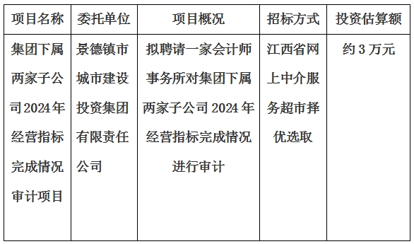 集團(tuán)下屬兩家子公司2024年經(jīng)營指標(biāo)完成情況審計(jì)項(xiàng)目計(jì)劃公告